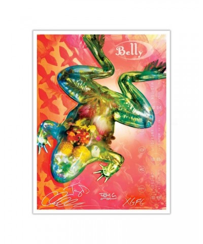 Belly Signed 2018 Midwest Tour Poster $8.00 Decor